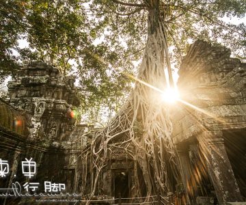 2013 Siem Reap Trip – Day 3 part 2 (Ta Prohm)