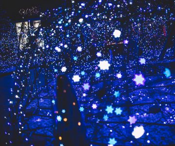 Japan Trip 4.0 - Tokyo Winter Illuminations