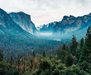 US Trip 2019 - Yosemite National Park