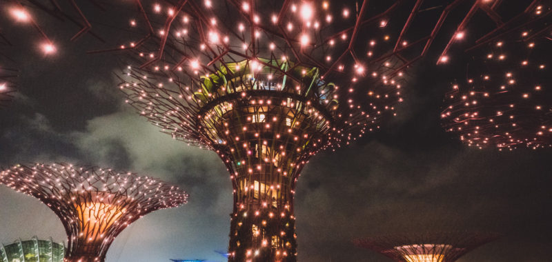 2020 Singapore Tirp Day 2 - Gardens by the bay & Solar Supertrees